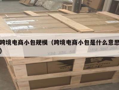 跨境电商小包规模（跨境电商小包是什么意思）