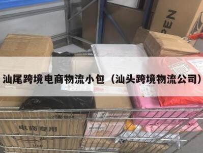 汕尾跨境电商物流小包（汕头跨境物流公司）