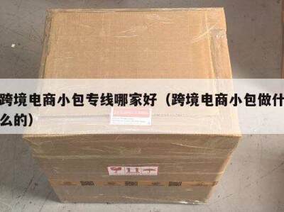 跨境电商小包专线哪家好（跨境电商小包做什么的）