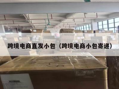 跨境电商直发小包（跨境电商小包寄递）