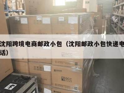 沈阳跨境电商邮政小包（沈阳邮政小包快递电话）