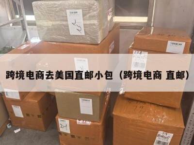 跨境电商去美国直邮小包（跨境电商 直邮）