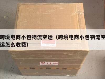 跨境电商小包物流空运（跨境电商小包物流空运怎么收费）