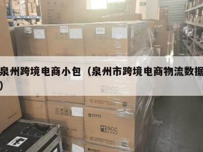 泉州跨境电商小包（泉州市跨境电商物流数据）