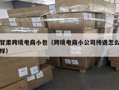 甘肃跨境电商小包（跨境电商小公司待遇怎么样）