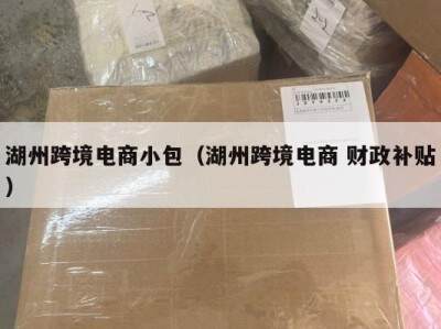 湖州跨境电商小包（湖州跨境电商 财政补贴）