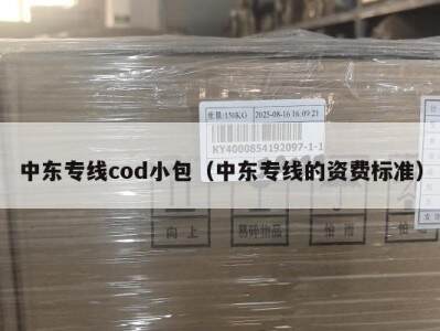 中东专线cod小包（中东专线的资费标准）