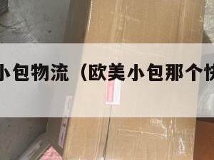 欧美电商小包物流（欧美小包那个快递公司好）