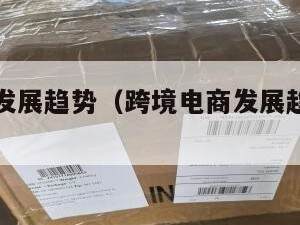 跨境电商发展趋势（跨境电商发展趋势是什么）