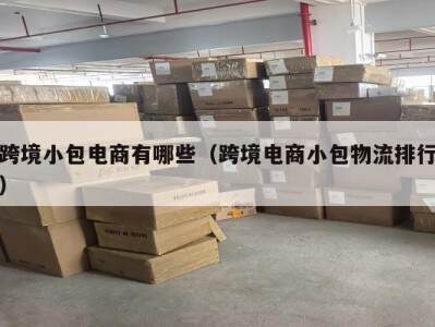 跨境小包电商有哪些（跨境电商小包物流排行）