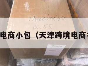 天津跨境电商小包（天津跨境电商补贴政策）