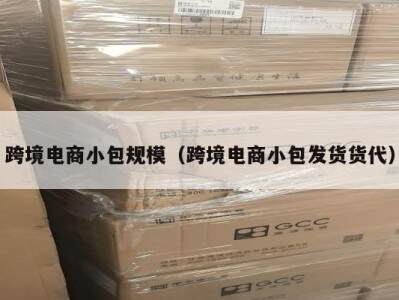 跨境电商小包规模（跨境电商小包发货货代）