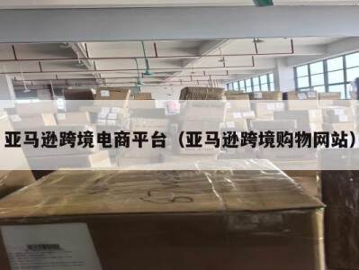 亚马逊跨境电商平台（亚马逊跨境购物网站）