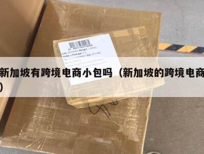新加坡有跨境电商小包吗（新加坡的跨境电商）
