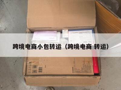 跨境电商小包转运（跨境电商 转运）