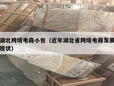 湖北跨境电商小包（近年湖北省跨境电商发展现状）