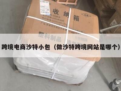 跨境电商沙特小包（做沙特跨境网站是哪个）