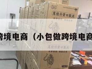 小包做跨境电商（小包做跨境电商可以吗）