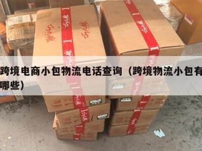 跨境电商小包物流电话查询（跨境物流小包有哪些）