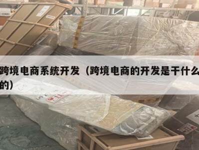 跨境电商系统开发（跨境电商的开发是干什么的）