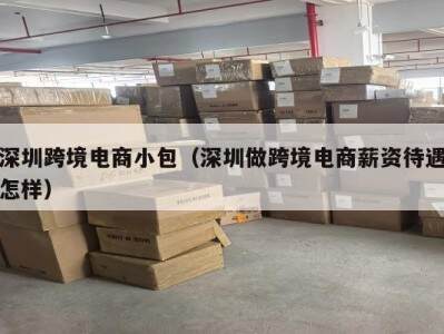 深圳跨境电商小包（深圳做跨境电商薪资待遇怎样）