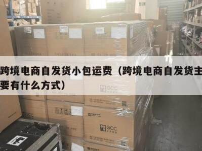 跨境电商自发货小包运费（跨境电商自发货主要有什么方式）
