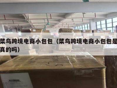 菜鸟跨境电商小包包（菜鸟跨境电商小包包是真的吗）