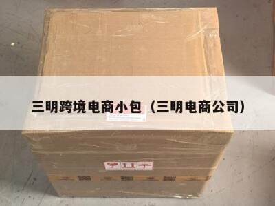 三明跨境电商小包（三明电商公司）