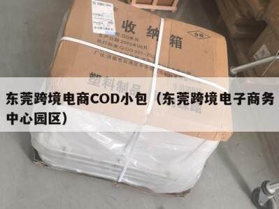 东莞跨境电商COD小包（东莞跨境电子商务中心园区）