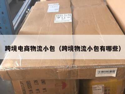 跨境电商物流小包（跨境物流小包有哪些）