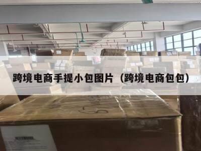 跨境电商手提小包图片（跨境电商包包）