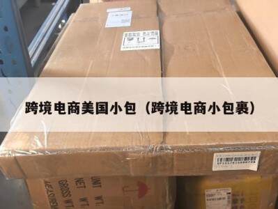 跨境电商美国小包（跨境电商小包裹）