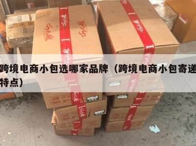 跨境电商小包选哪家品牌（跨境电商小包寄递特点）