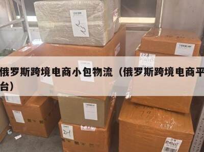 俄罗斯跨境电商小包物流（俄罗斯跨境电商平台）