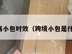 跨境电商小包时效（跨境小包是什么意思）