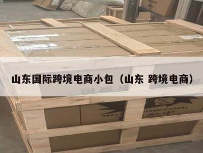 山东国际跨境电商小包（山东 跨境电商）