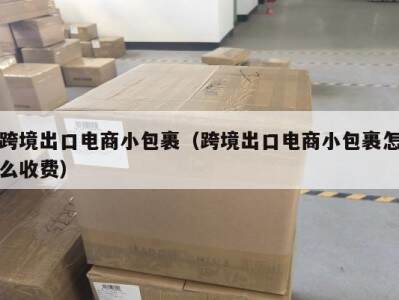 跨境出口电商小包裹（跨境出口电商小包裹怎么收费）