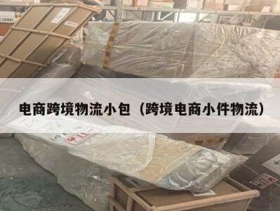 电商跨境物流小包（跨境电商小件物流）