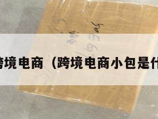 小包总跨境电商（跨境电商小包是什么意思）