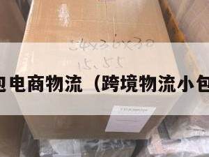 跨境小包电商物流（跨境物流小包有哪些）