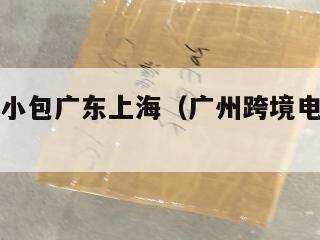 跨境电商小包广东上海（广州跨境电商小包物流）