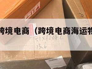海运小包跨境电商（跨境电商海运物流的优势和劣势）