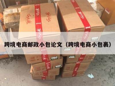 跨境电商邮政小包论文（跨境电商小包裹）