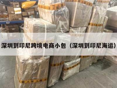 深圳到印尼跨境电商小包（深圳到印尼海运）
