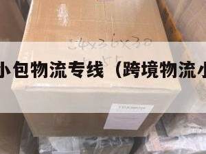 跨境电商小包物流专线（跨境物流小包有哪些）