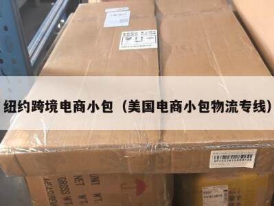 纽约跨境电商小包（美国电商小包物流专线）