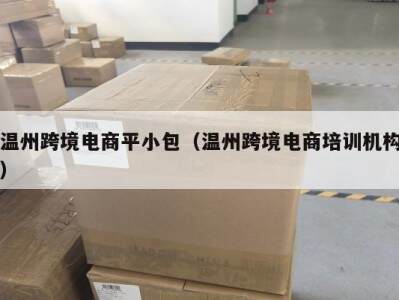 温州跨境电商平小包（温州跨境电商培训机构）
