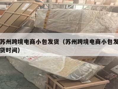 苏州跨境电商小包发货（苏州跨境电商小包发货时间）