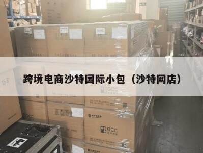 跨境电商沙特国际小包（沙特网店）