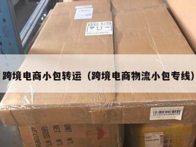 跨境电商小包转运（跨境电商物流小包专线）